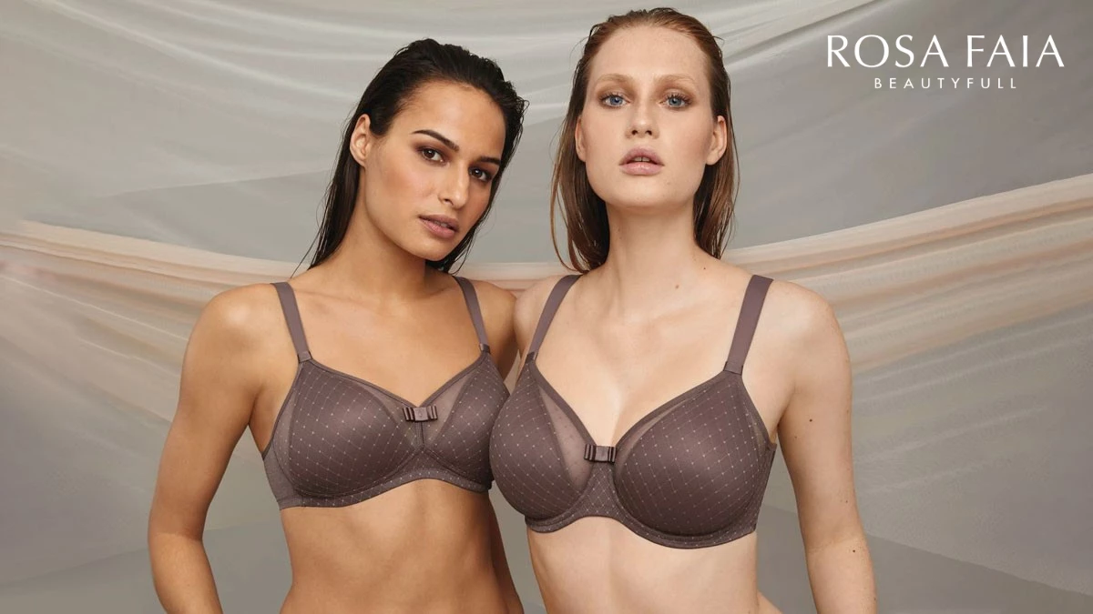 Anita Shop 2 Anita Shop -Anita Shop 2